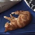 Kathy Joiner - @kathyjoiner72 - Instagram