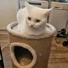Kathy Joiner - @kathy.joiner - TikTok