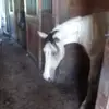 Kathy Joline - @kathy.joline - TikTok