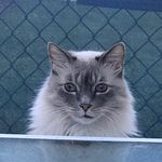 Kathy Joubert - @kakjoubert - Instagram