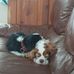 Kathy Joyce - Facebook
