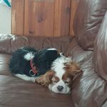 Kathy Joyce - @kathy.joyce.5680 - Instagram