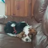 kathyjoyce385 - @kathyjoyce385 - TikTok