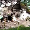kathykamp760 - @kathykamp760 - TikTok