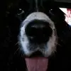Kathy Kapp - @kathy.kapp - TikTok