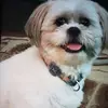 Kathy Kapparis - @kathy.kapparis0 - TikTok