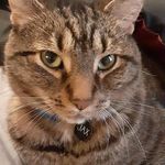 Kathy Kappenhagen DiFranco - @kathy.kappenhagen - Instagram