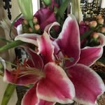 Kathy Karst - @kathy_karst - Instagram