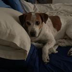 Kathy Gregg Kasper - @kathy.kasper - Instagram