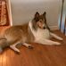 Kathy Kasper - Facebook