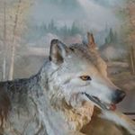 Kathy Kauffman - @kathy.kauffman.3386 - Instagram