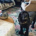 Kathy Kauffman - @kathy.kauffman.50 - Instagram