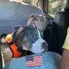 kathykeebletafs - @kathykeebletafs - TikTok