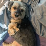 Kathy Keegan - @kkeegan5350 - Instagram