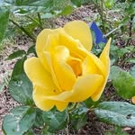 Kathy Keegan Malsbenden - @kathymalsbenden - Instagram