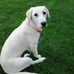 Kathy Keeling - Facebook