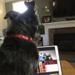 Kathy Keen - @kkeen52 - Instagram