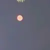 Kathy Keenan525 - @kathykeenan525 - TikTok