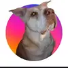 timothynkathykeil - @timothynkathykeil - TikTok
