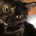 Kathy Kelch - Facebook