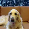 Kathy Kenner882 - @kathykenner882 - TikTok