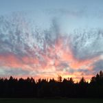 Kathy Kenyon - @kathy.kenyon - Instagram