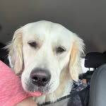 Kathy Kenyon - @kek699197 - Instagram
