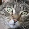 kathykenyon606 - @kathykenyon606 - TikTok
