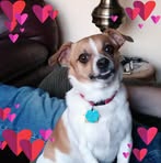 Kathy Ketcham - Facebook