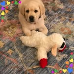 Kathy Ketcham Oldham - @oldham25 - Instagram