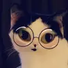 Kathy Kiesling - @kathykieisling - TikTok