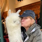 Kathy Kiger Phillips - @gokkphil - Instagram