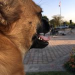 Kathy Killen - @killenkat - Instagram