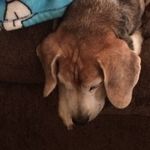 Kathy Kimble Matthews - @kathykm2363 - Instagram