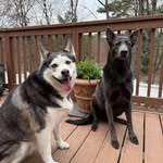 Kathy Kling - @kama_410 - Instagram