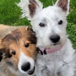 Kathy Duesel Klug - @katenollklug - Instagram