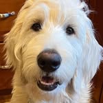 Kathy Klug - @kk20720 - Instagram