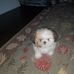 Kathy Kluth - Facebook