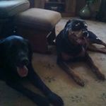 Kathy Knoll - @kathy.knoll.3 - Instagram