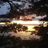 Kathy Knoll - @2184867399 - TikTok