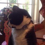 Kathy Knoll - @kakie67 - Instagram