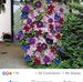 Kathy Knoll - Facebook