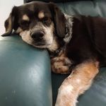 Kathy Kopp - @kopp7143 - Instagram