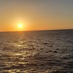 Kathy Kovach - @kathy.kovach.37 - Instagram