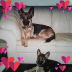 Kathy Kovach - Facebook