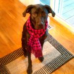 Kathy Krall - @kathy.krall - Instagram