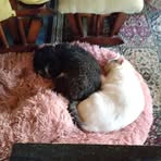 Kathy Kramer - Facebook