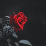 Kathy Lail - @kathy.lail.71 - Instagram