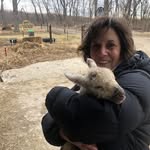 Kathy Laing - @kathjlaing - Instagram