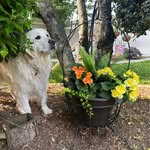 Kathy Laing Malone - @kathy.malone - Instagram